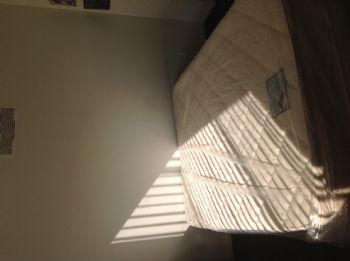 baadiyah profile photo