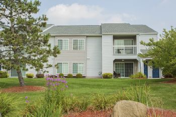 Frank Ofili profile photo