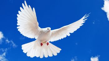 Dylan_Free profile photo