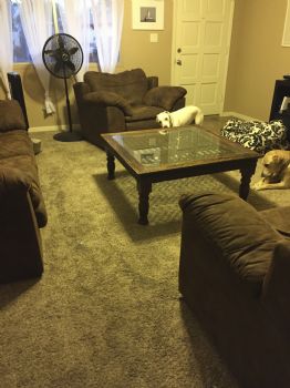 Shayna316 profile photo