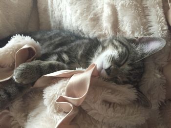 rsurland profile photo