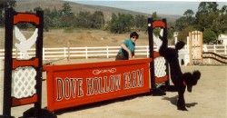 Lilliipad profile photo