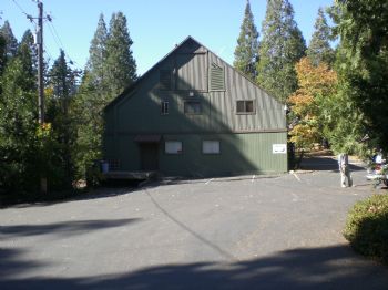 Lilliipad profile photo