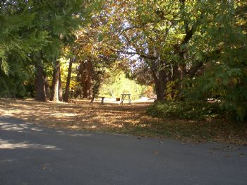 Lilliipad profile photo