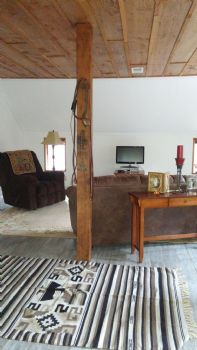 Lilliipad profile photo