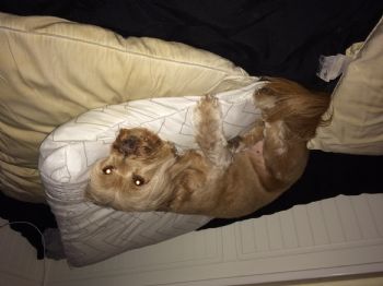 tyler87 profile photo