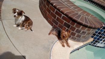 sayerodr profile photo