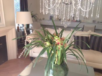 Stockholm0 profile photo