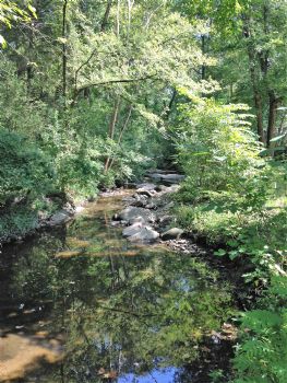 sethmoon65 profile photo