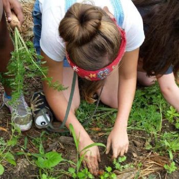 studentgurl profile photo