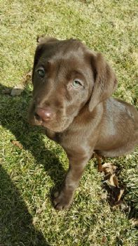 ktpotato profile photo