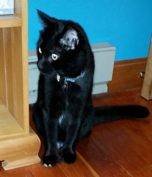 ktpotato profile photo