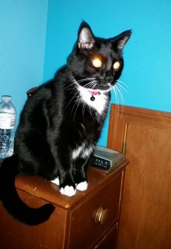 ktpotato profile photo