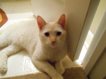 Marilyn1970 profile photo