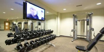 Mistified profile photo