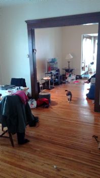 Yasmiryh profile photo