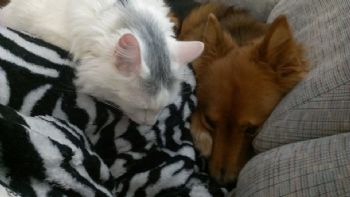 plyangel456 profile photo