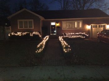 Steve2634 profile photo