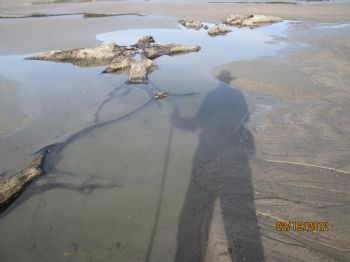 mgcraven60 profile photo