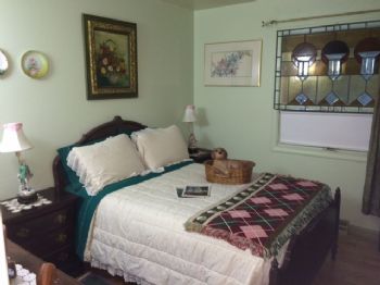 Toypet profile photo