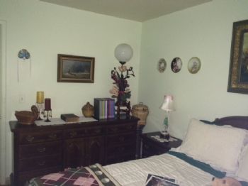 Toypet profile photo