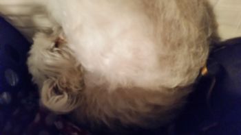 Pi314159 profile photo