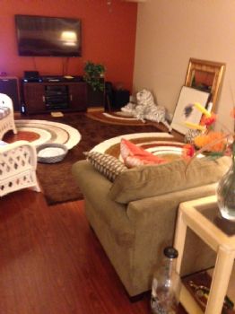 drewroberts5 profile photo