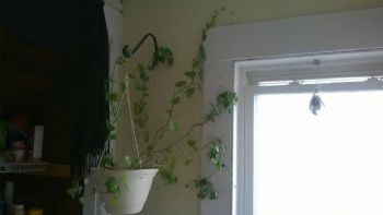 MaggieK profile photo