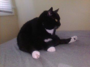 MaggieK profile photo