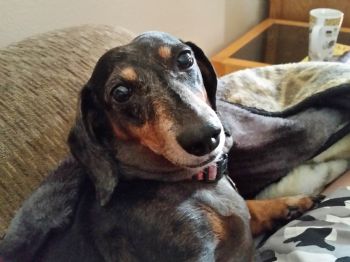 tamara50 profile photo