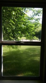 skyler24 profile photo