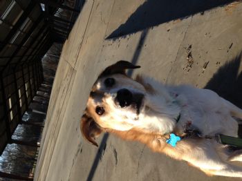 TGriffin profile photo