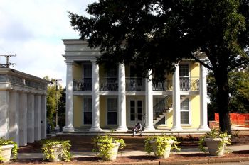 ericaaustein profile photo