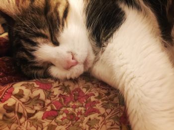 Laka615 profile photo