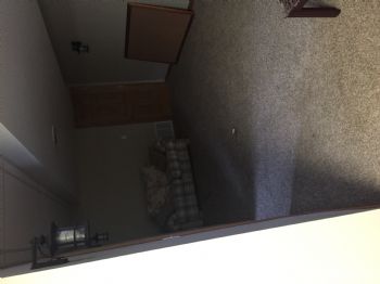 SydneyRose profile photo