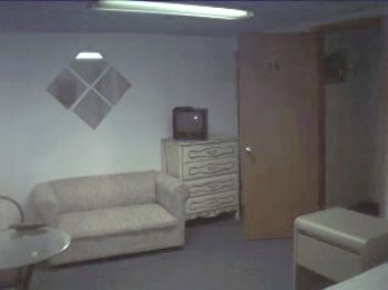 dewitt profile photo