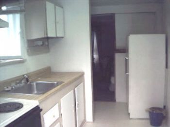 dewitt profile photo