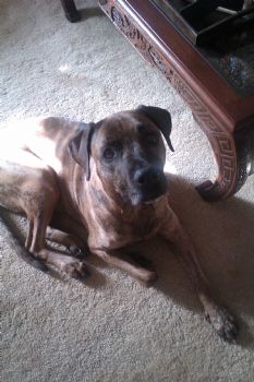 JackDanley profile photo