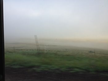 Maria68 profile photo