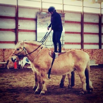 ckipple profile photo