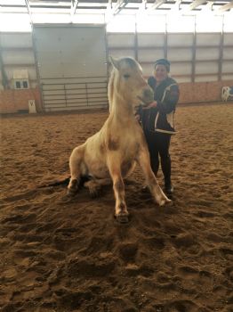 ckipple profile photo