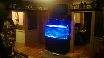 SLenares profile photo