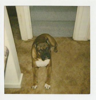 CrystalLynn profile photo