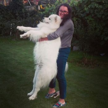 Vlada_lala profile photo