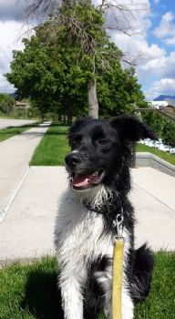 soulrise profile photo