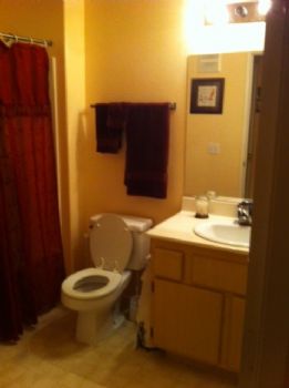 praushel profile photo