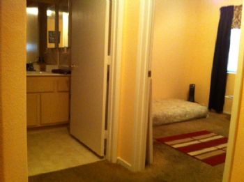 praushel profile photo