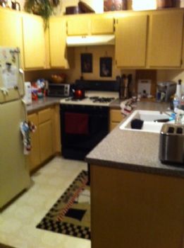 praushel profile photo