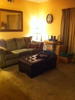 praushel profile photo