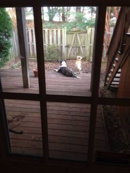 Racer_Jake profile photo